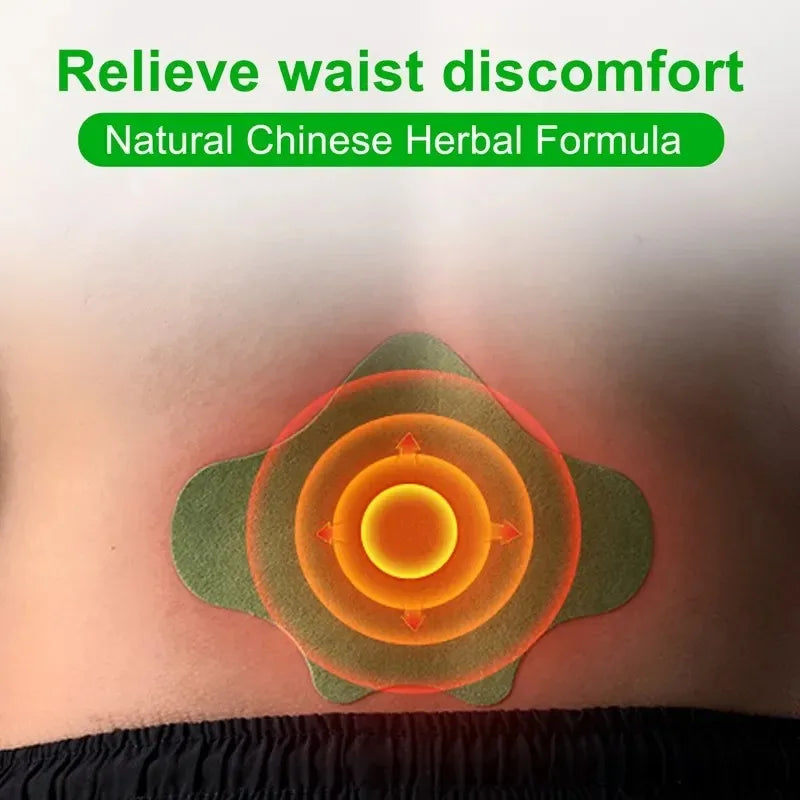 72/6 PCS Lumbar Self-Heating Relax Back Body Waist Health Care Tools