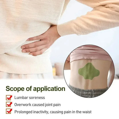 72/6 PCS Lumbar Self-Heating Relax Back Body Waist Health Care Tools